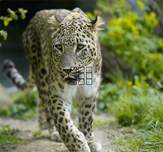 Bildschirmfoto%202020 10-02%20um%2012.07.35